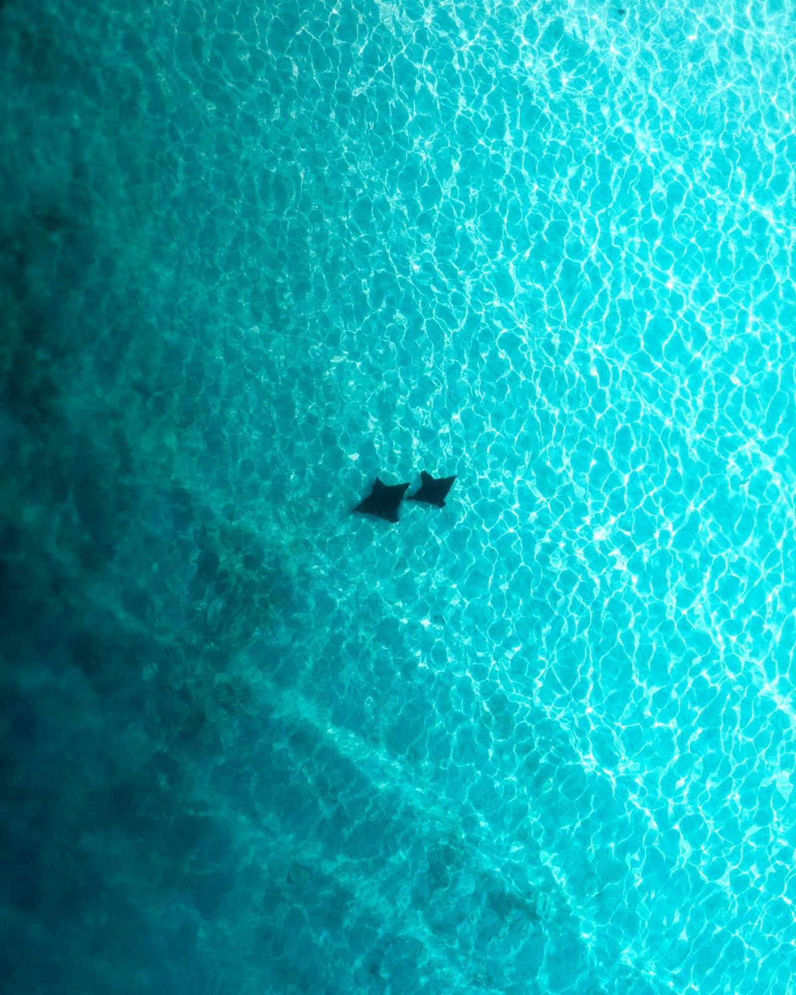 Araamu Hotels Maldives At דיפושי מראה חיצוני תמונה